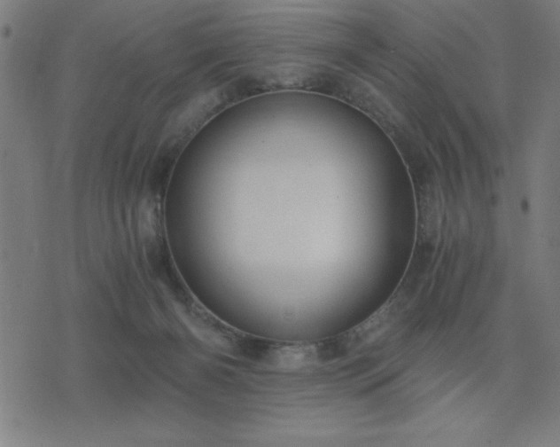 X0000076330126200610061445