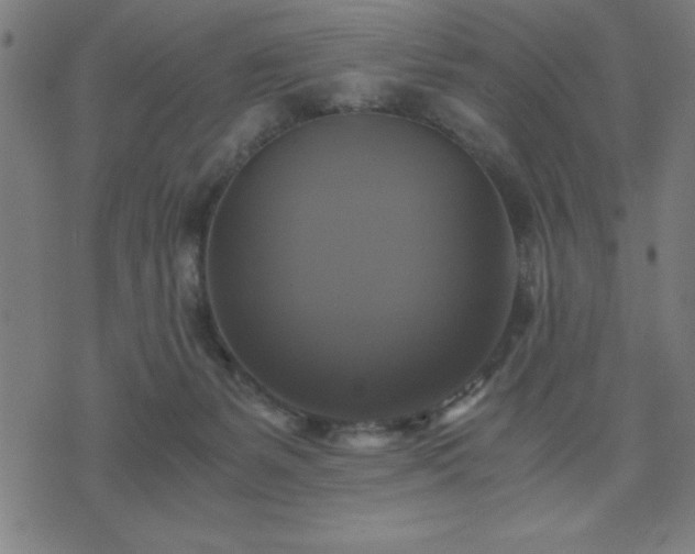 X0000076330127200610061445