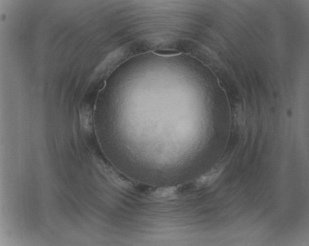 X0000076330138200610061445