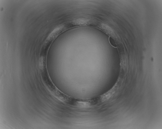 X0000076330167200610061444