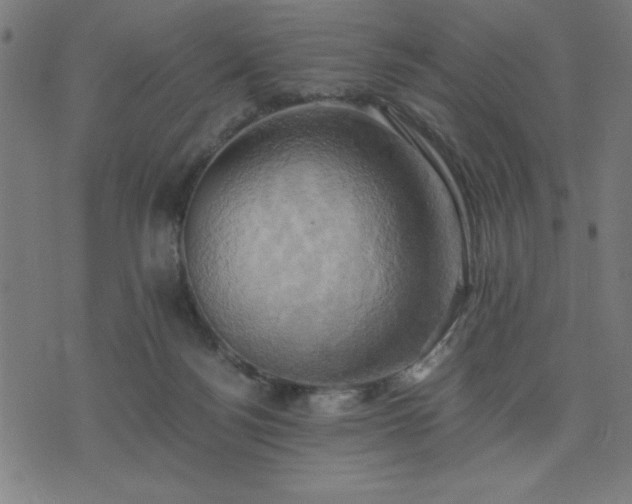 X0000076330172200610061444