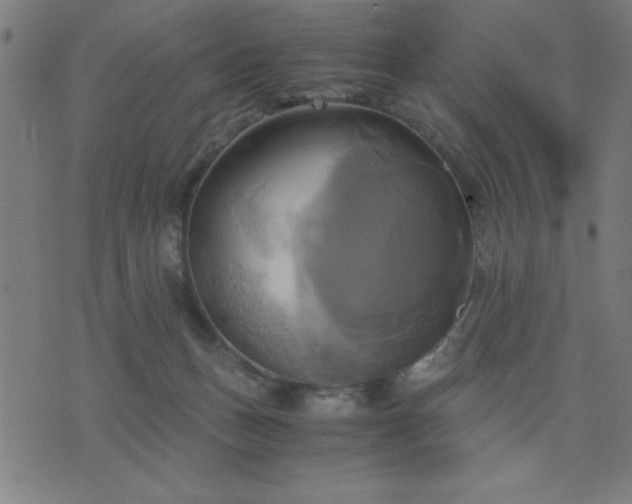 X0000076330175200610061445