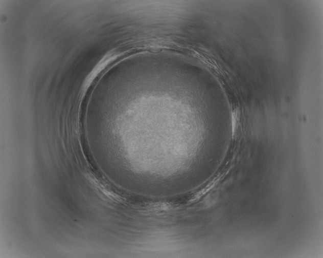 X0000076330195200610061444