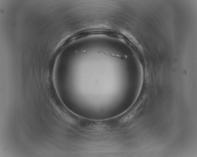 X0000076330201200610061444