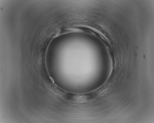 X0000076330221200610061444
