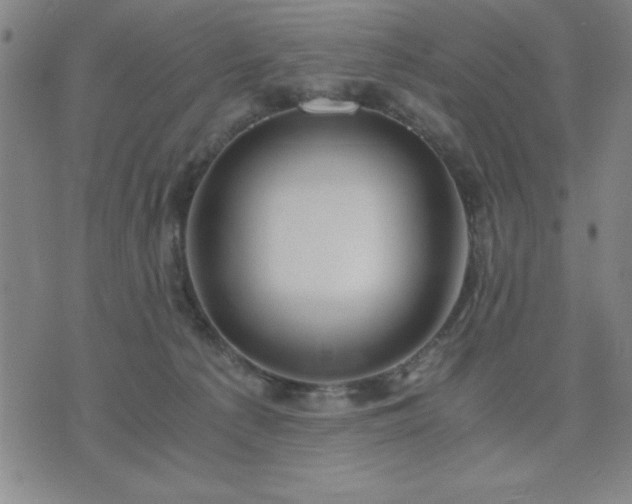 X0000076330225200610061444