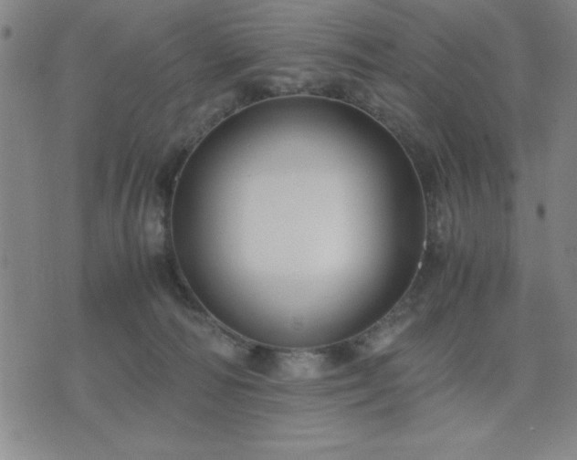 X0000076330226200610061443