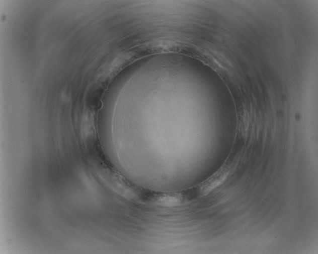 X0000076330236200610061443