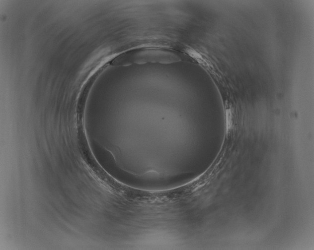 X0000076330243200610061443