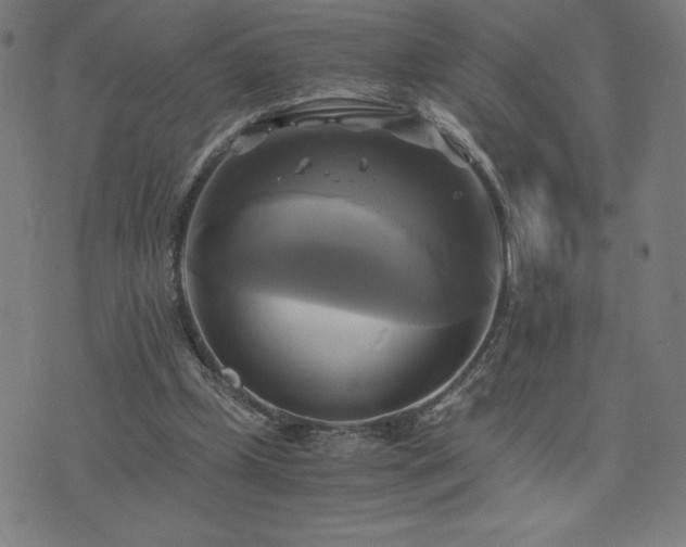 X0000076330249200610061443