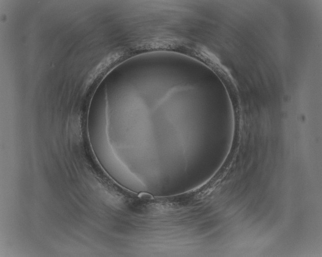 X0000076330250200610061443