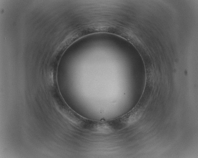 X0000076330262200610061443