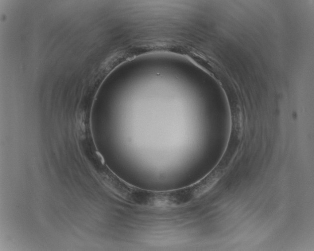 X0000076330264200610061443