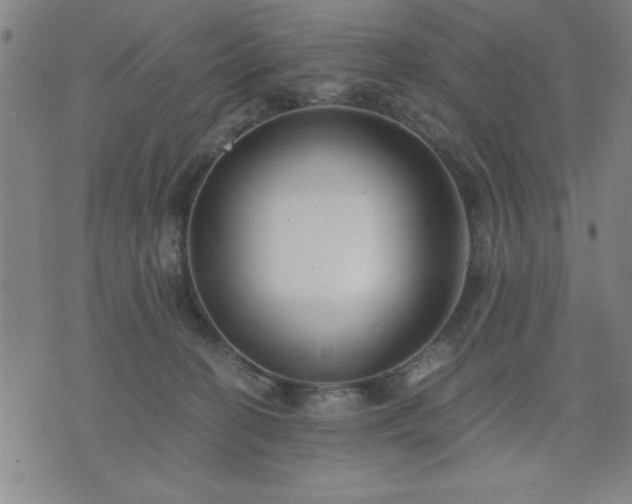 X0000076330274200610061443
