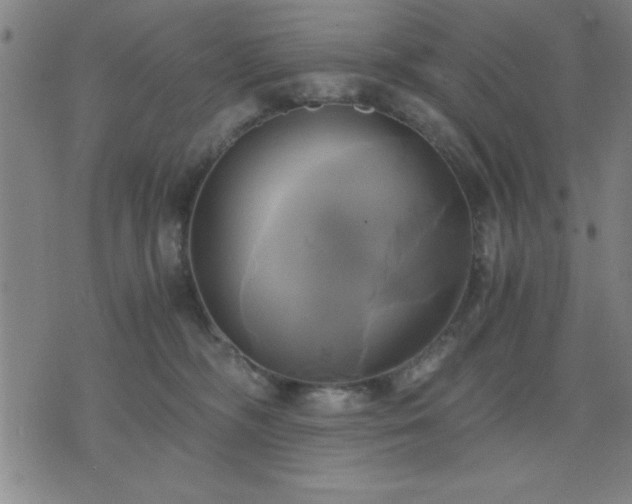 X0000076330326200610061442
