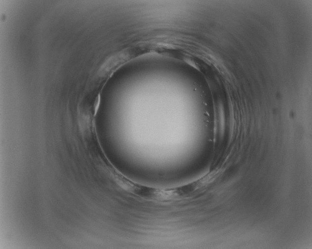 X0000076330333200610061442