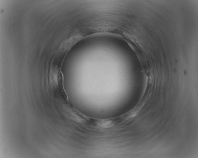 X0000076330334200610061442