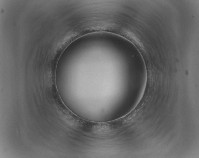 X0000076330354200610061441