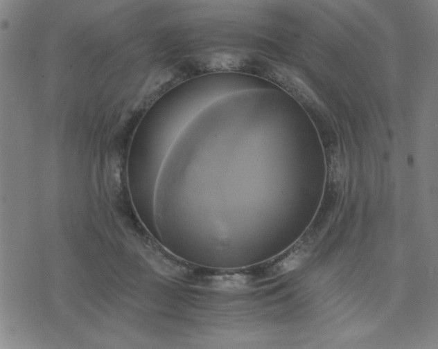X0000076330363200610061441