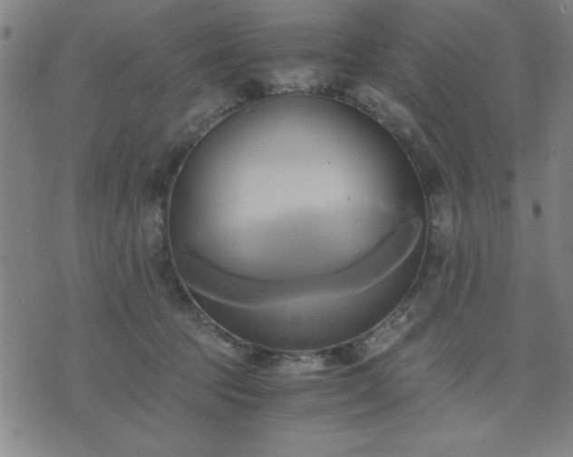 X0000076330369200610061441