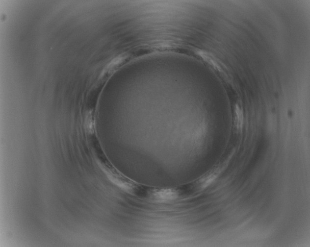 X0000076330383200610061442