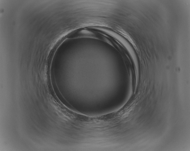 X0000076330387200610061441