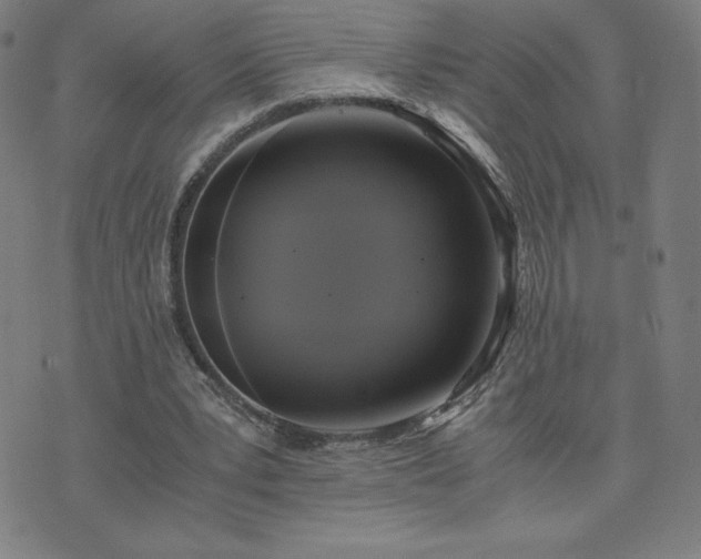 X0000076330391200610061441