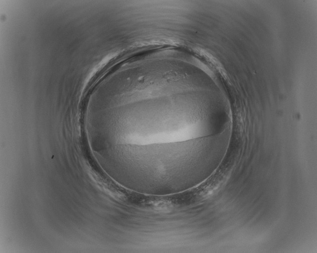 X0000076330395200610061441