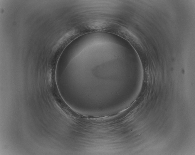 X0000076330404200610061441