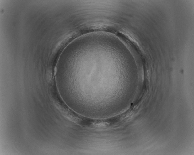 X0000076330407200610061441