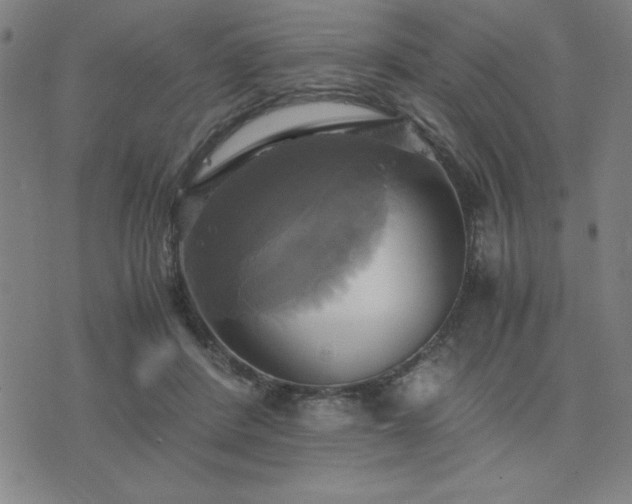 X0000076330408200610061441