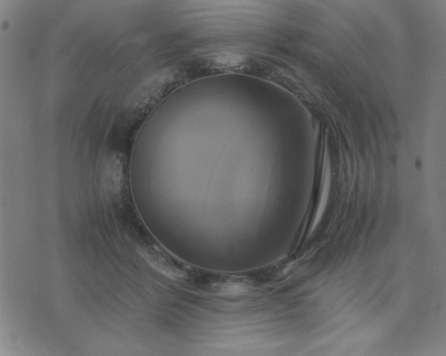 X0000076330412200610061440
