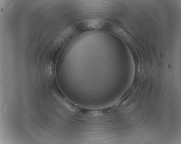 X0000076330424200610061440