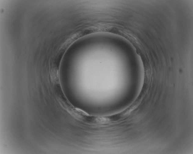 X0000076330429200610061440