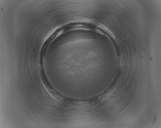 X0000076330436200610061439