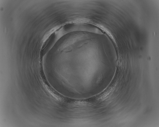 X0000076330437200610061439