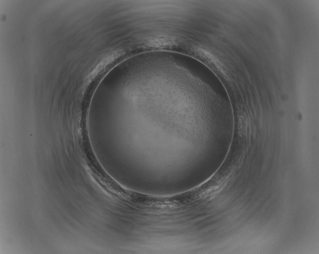 X0000076330443200610061440