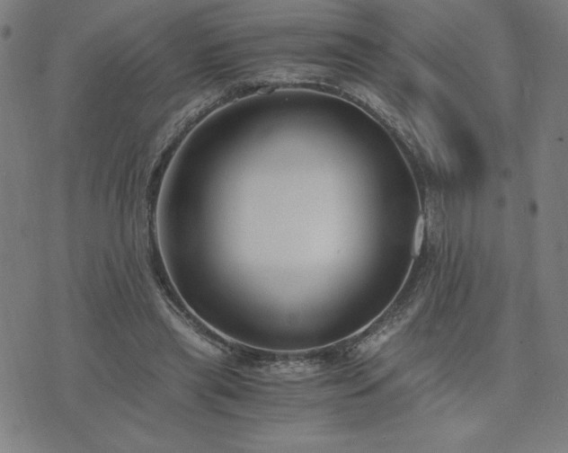 X0000076330445200610061440