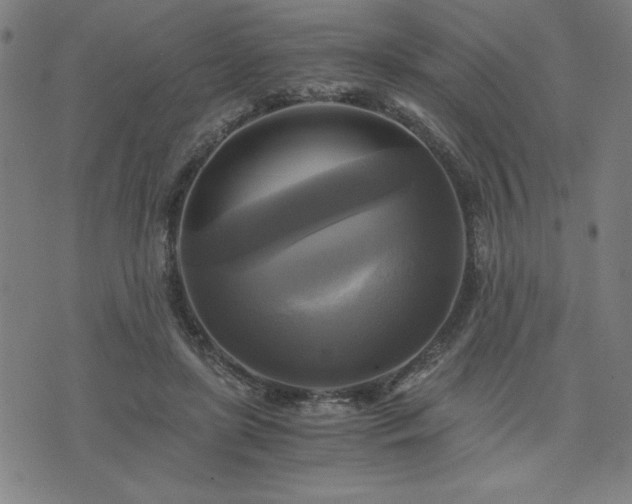 X0000076330451200610061440