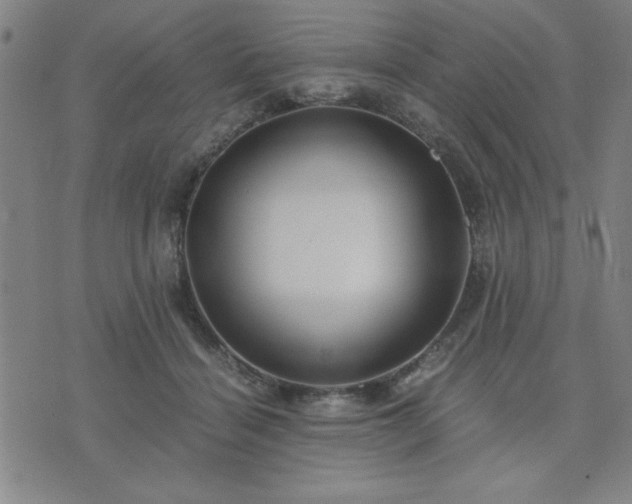 X0000076330460200610061440