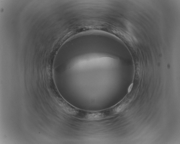 X0000076330461200610061440