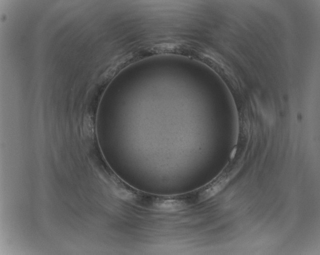 X0000076330467200610061440