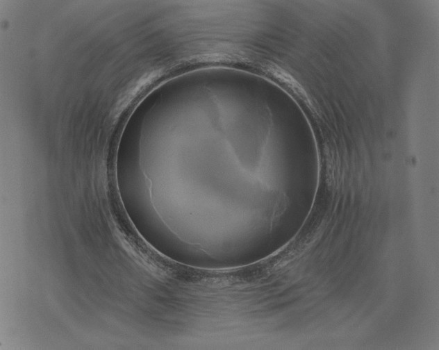 X0000076330482200610061439