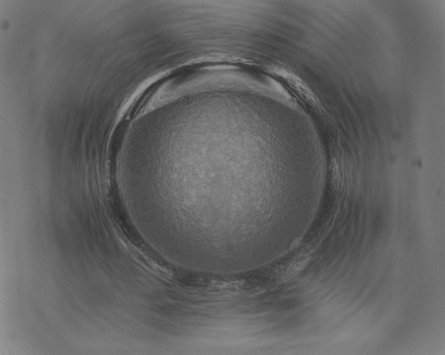 X0000076330484200610061439