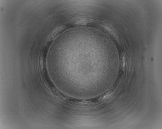 X0000076330504200610061439