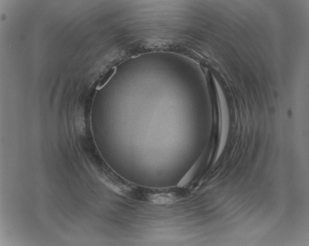X0000076330508200610061439