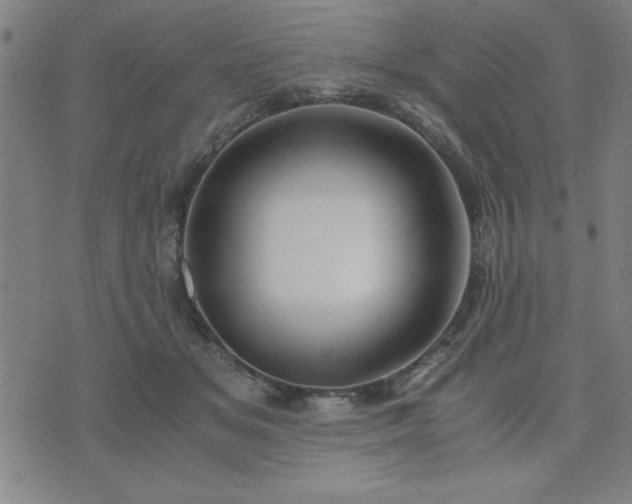 X0000076330509200610061439