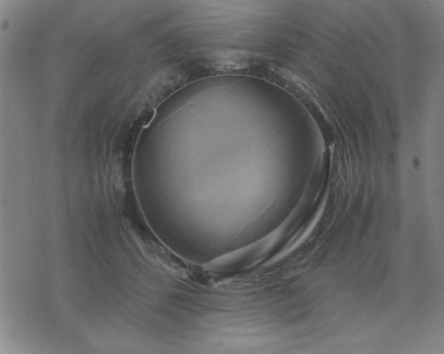 X0000076330512200610061439