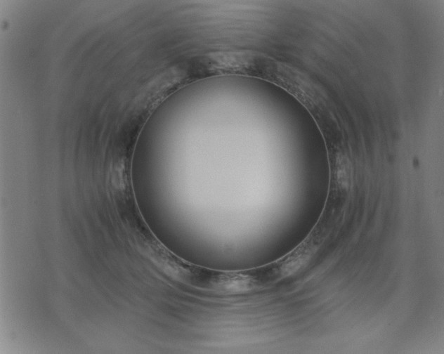 X0000076330514200610061439