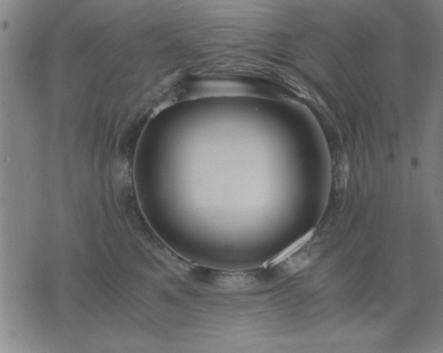 X0000076330521200610061439
